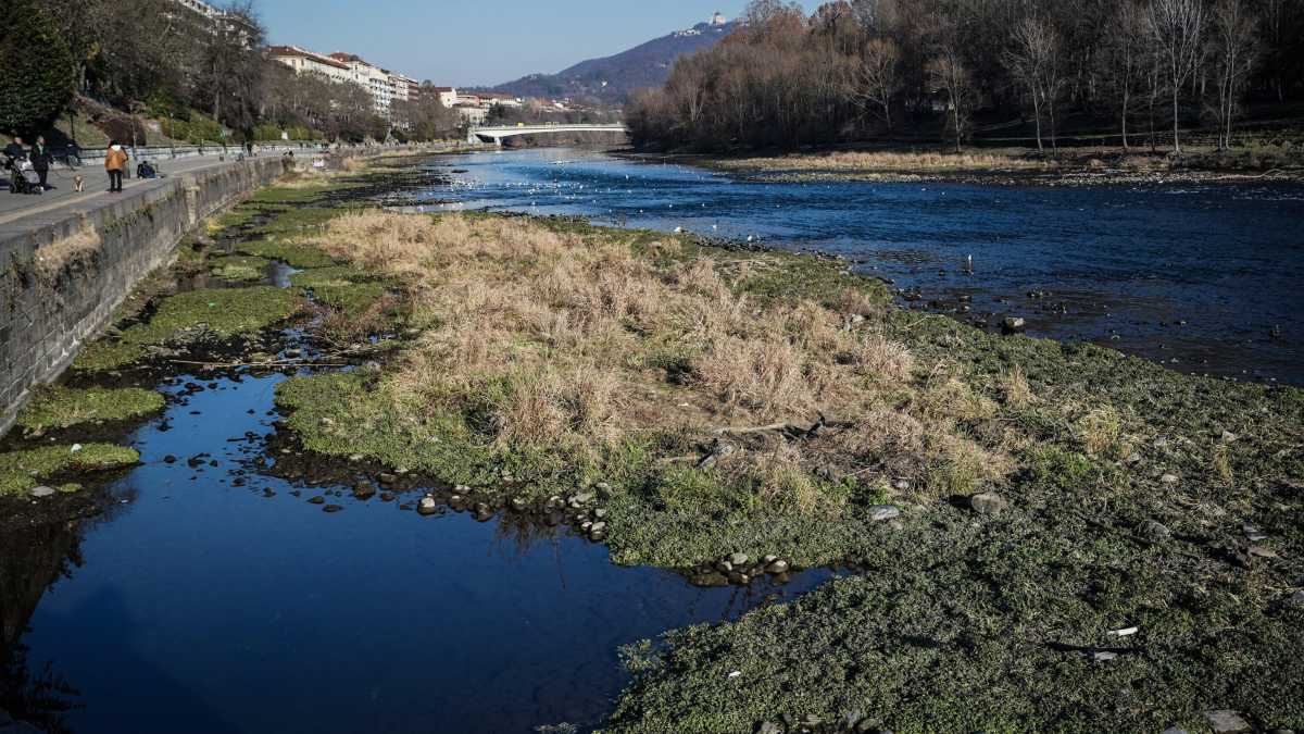 Immagine di Coraggio, se gestita bene la siccità può diventare un’occasione di sviluppo