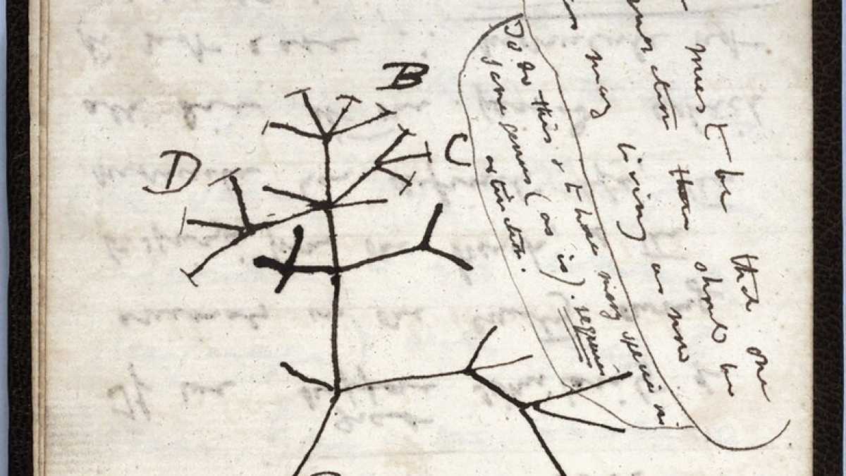 Immagine di Il Dna ambientale e la confusione dell'albero della vita