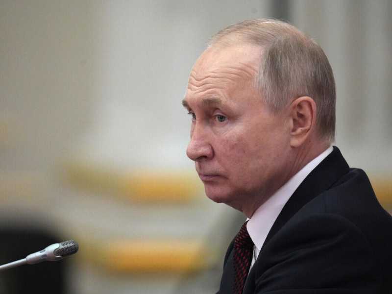 Vladimir Putin (Ansa)