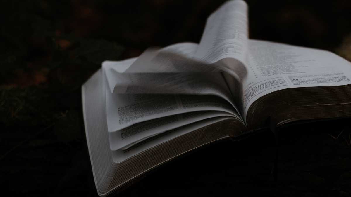 Immagine di "Thomas l’Oscuro" sembra un romanzo, ma non lo è. Blanchot riesce a fondere filosofia e letteratura