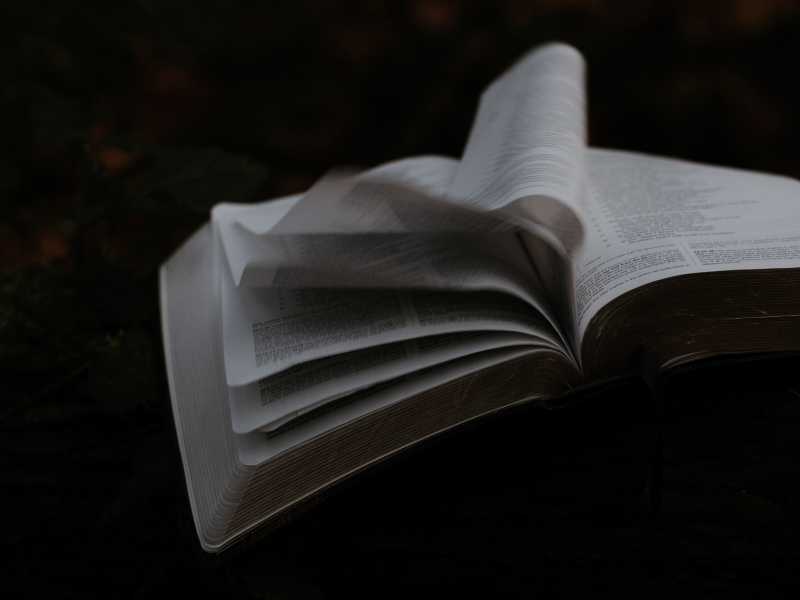 Foto di Priscilla Du Preez, via Unsplash<br /> <br />