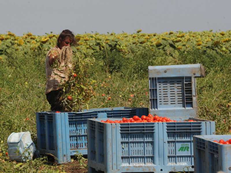 Foto di Franco Cautillo, via Ansa<br /> <br />