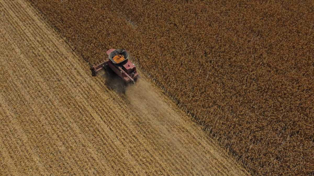 Immagine di Viva la carne sintetica. Senza ricerca l'agricoltura non va avanti