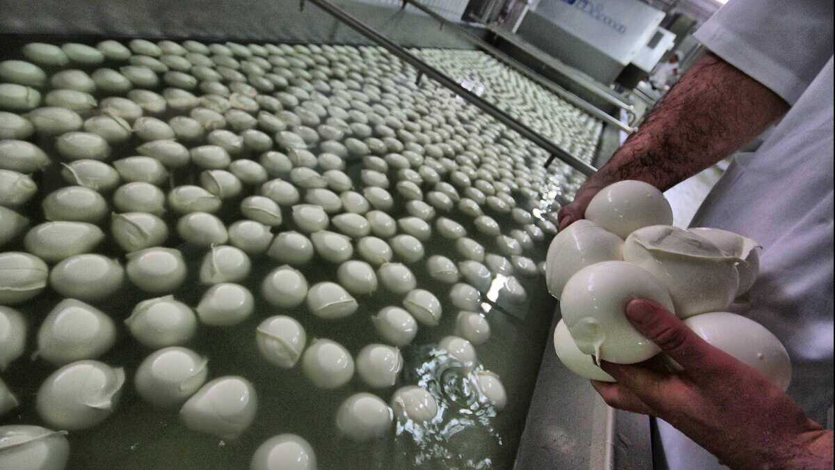 Immagine di Perché la sovranità alimentare è una bufala, con tutto il rispetto per Agropoli