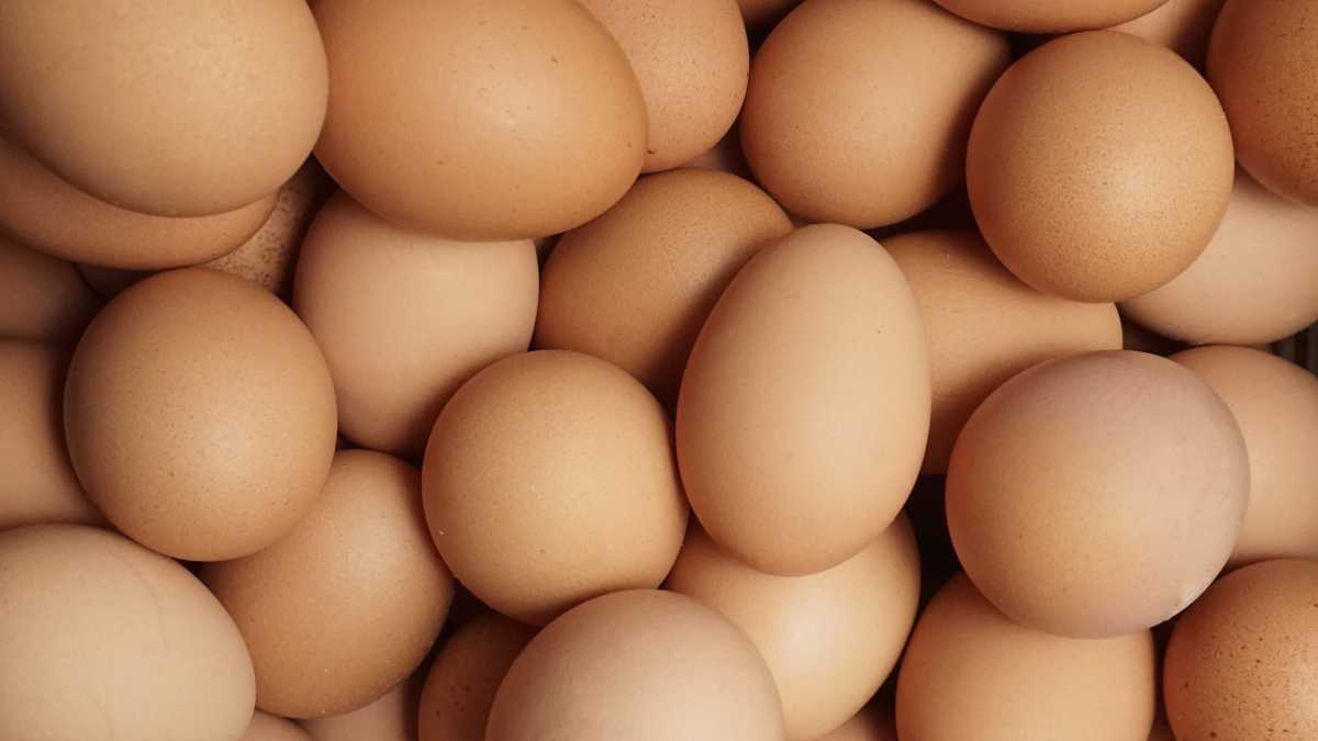 Immagine di Quanto sono più buone, le uova illegali