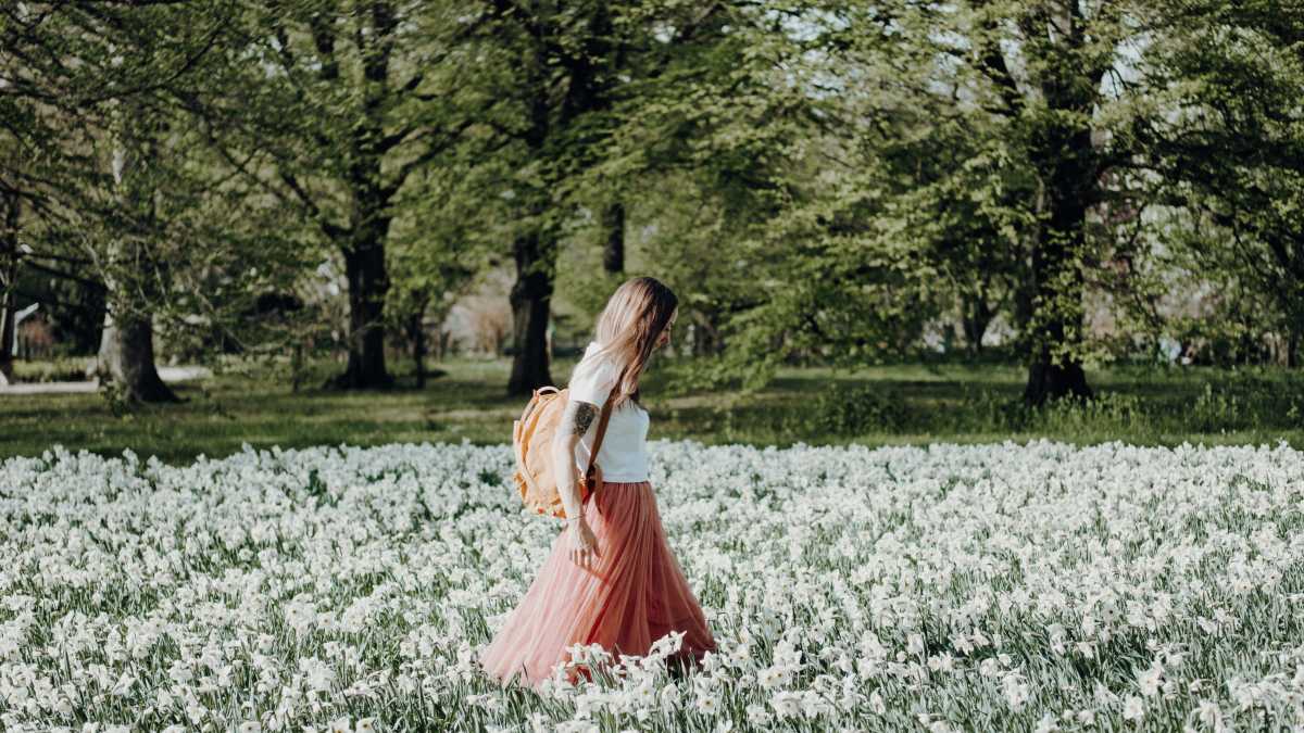 Immagine di Cara Primavera, non sono pronta. Questo vento agita anche me