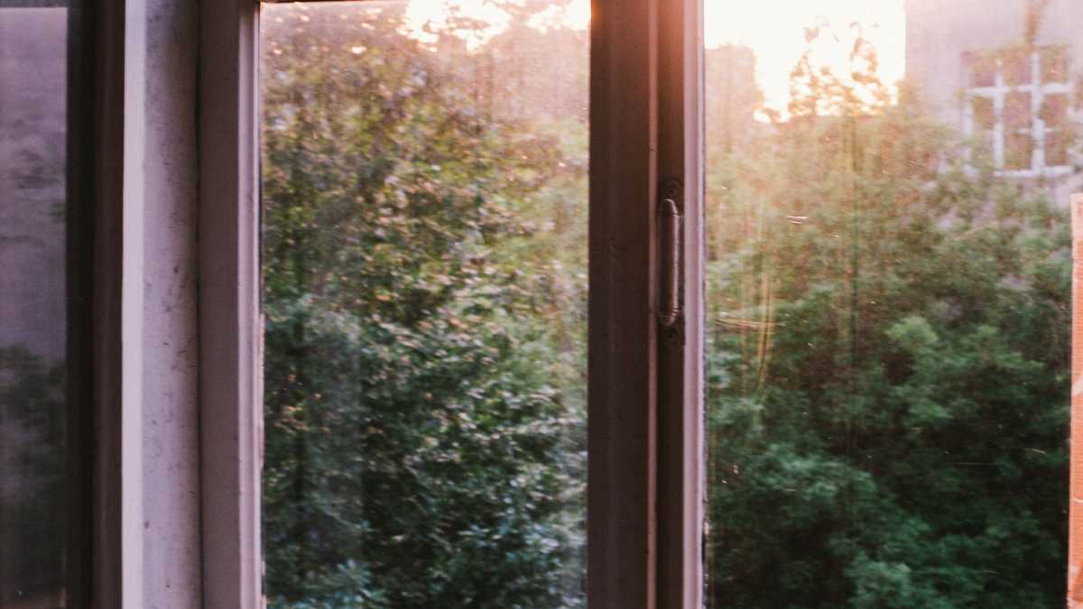 Immagine di Com’è verde la mia collana editoriale. Il caso di Aboca
