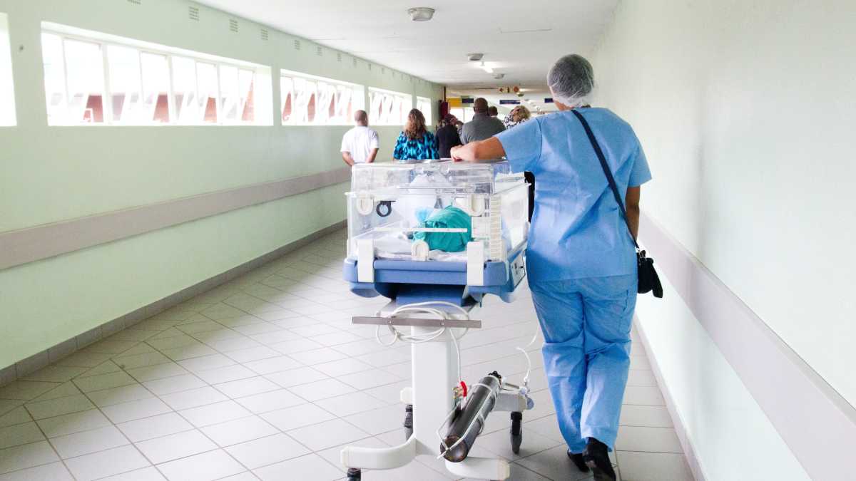 Immagine di La donna, i figli e la izquierda, meglio della sinistra italiana