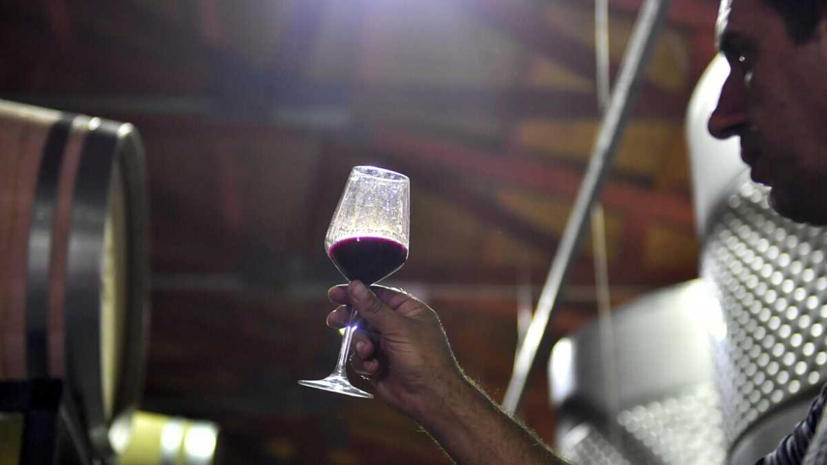 Immagine di Il vino italiano è rinato europeo
