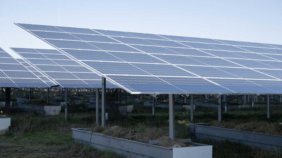 Immagine di Schifani sbaglia a bloccare il fotovoltaico in Sicilia, ma qualche problema c’è