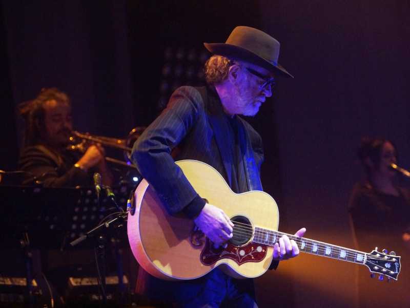Francesco De Gregori in concerto nel 2015 (Lapresse)