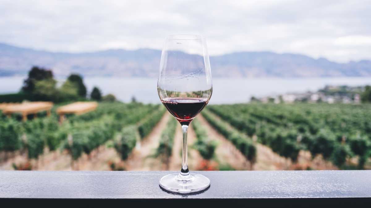 Immagine di Esplodono con il vino le contraddizioni del km 0 in agricoltura