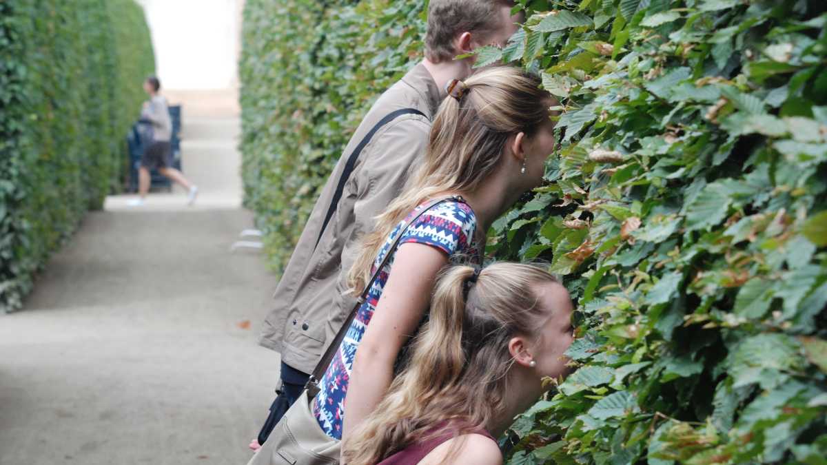 Immagine di Di coloro di cui non puoi parlare se non male, meglio tacere. Una provocazione