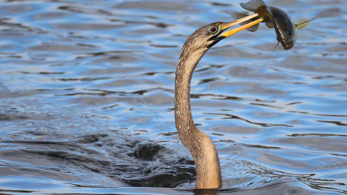 Immagine di Non esiste bellezza senza sofferenza. Vale anche per la scienza