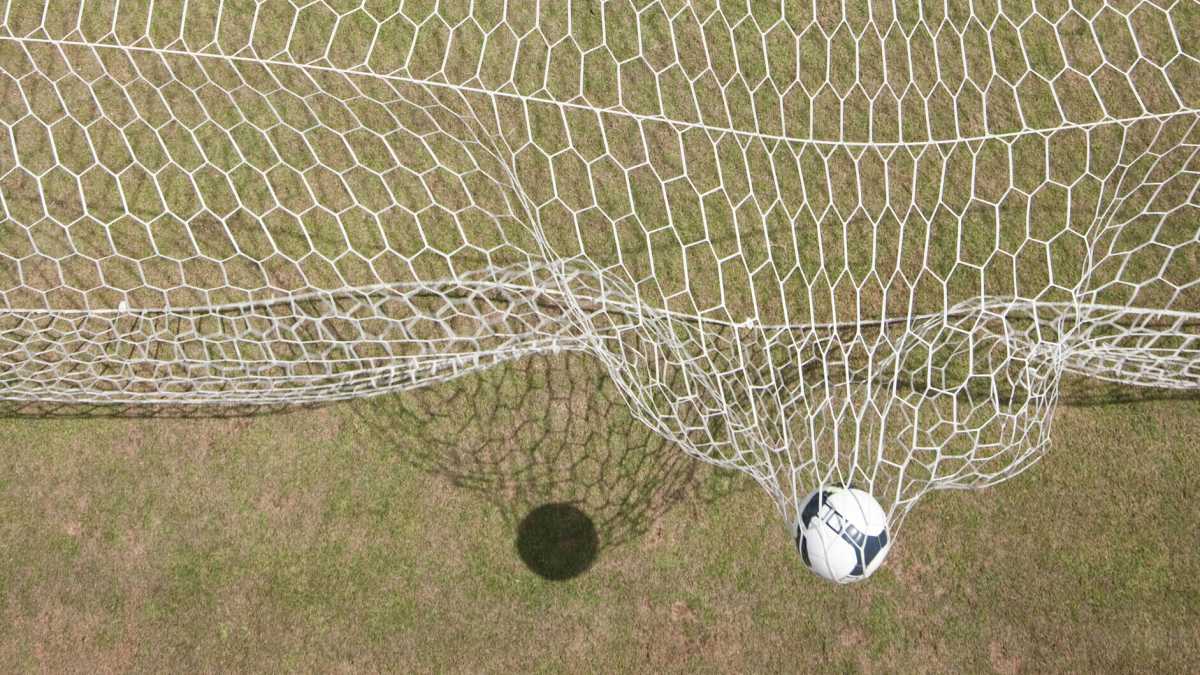 Immagine di Un dirigente del Leone vuole stravolgere il mondo del calcio