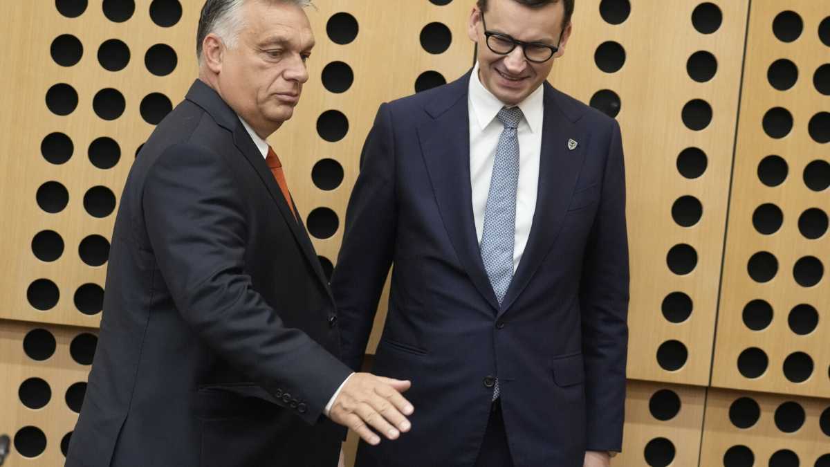Immagine di Il divieto al grano ucraino di Polonia e Ungheria apre un frattura con Bruxelles