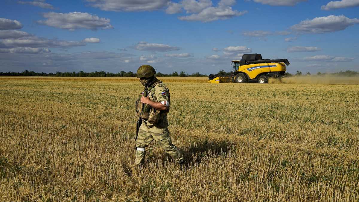 Immagine di Lo scontro intraeuropeo sul grano è un test sul sostegno europeo a Kyiv