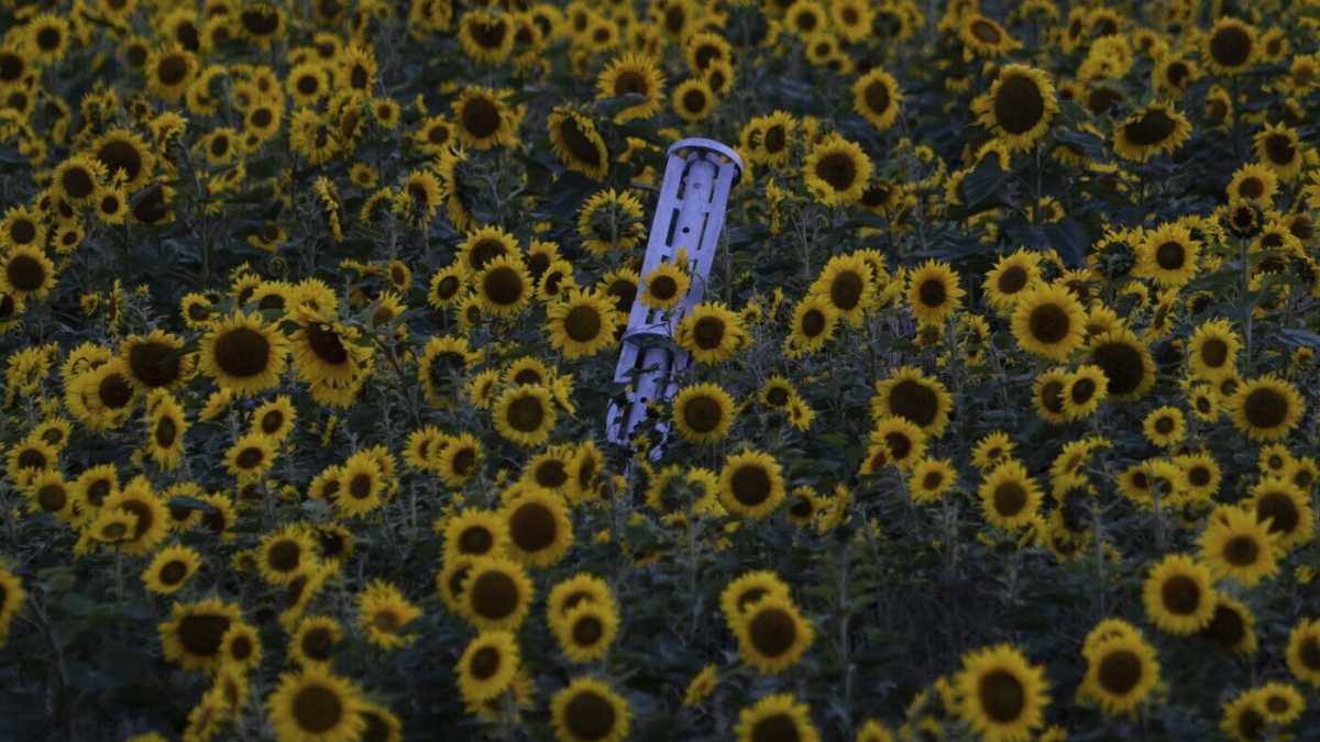 Immagine di Così la resistenza ucraina è diventata ambizione limpida di libertà