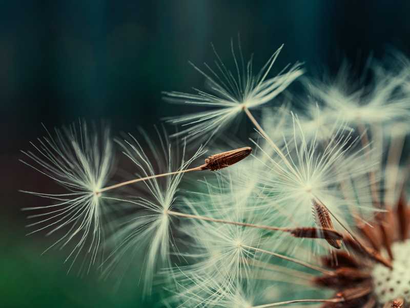 Foto di Олександр К su Unsplash&nbsp;<br />