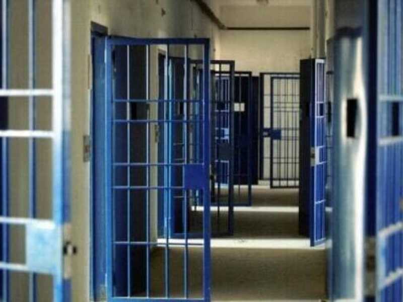 La psichiatra uccisa e l’orsa. La malattia mentale e il rischio di farsene carico