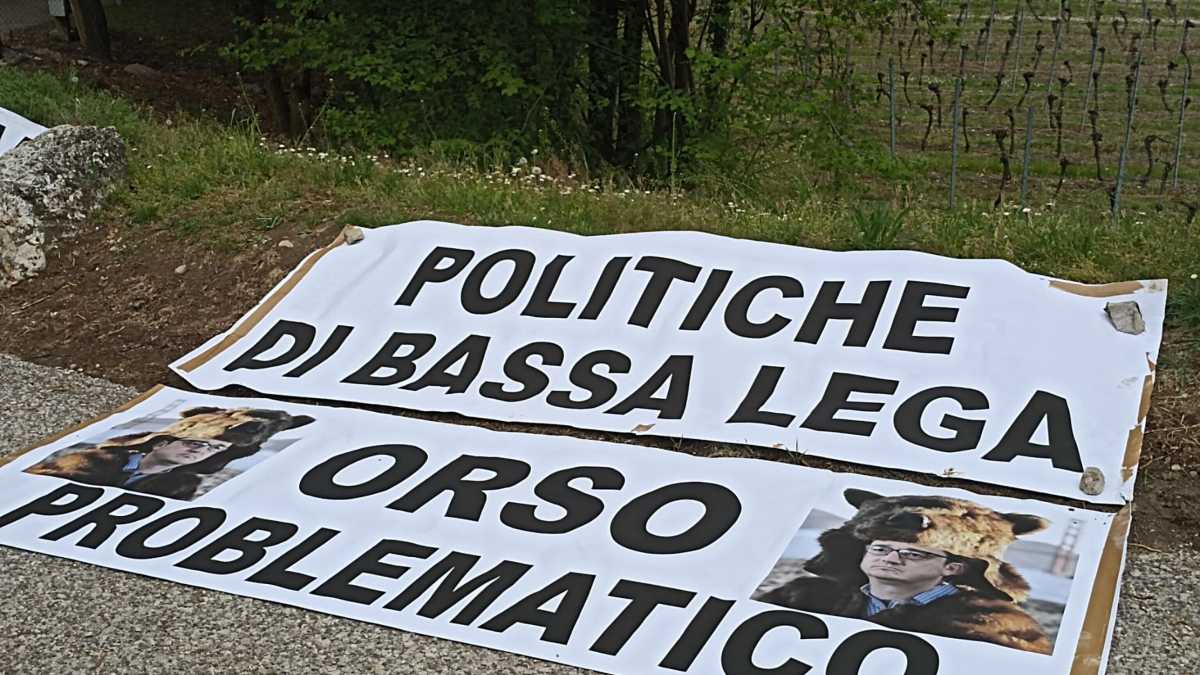 Immagine di Scendere a patti con gli orsi e con i lupi