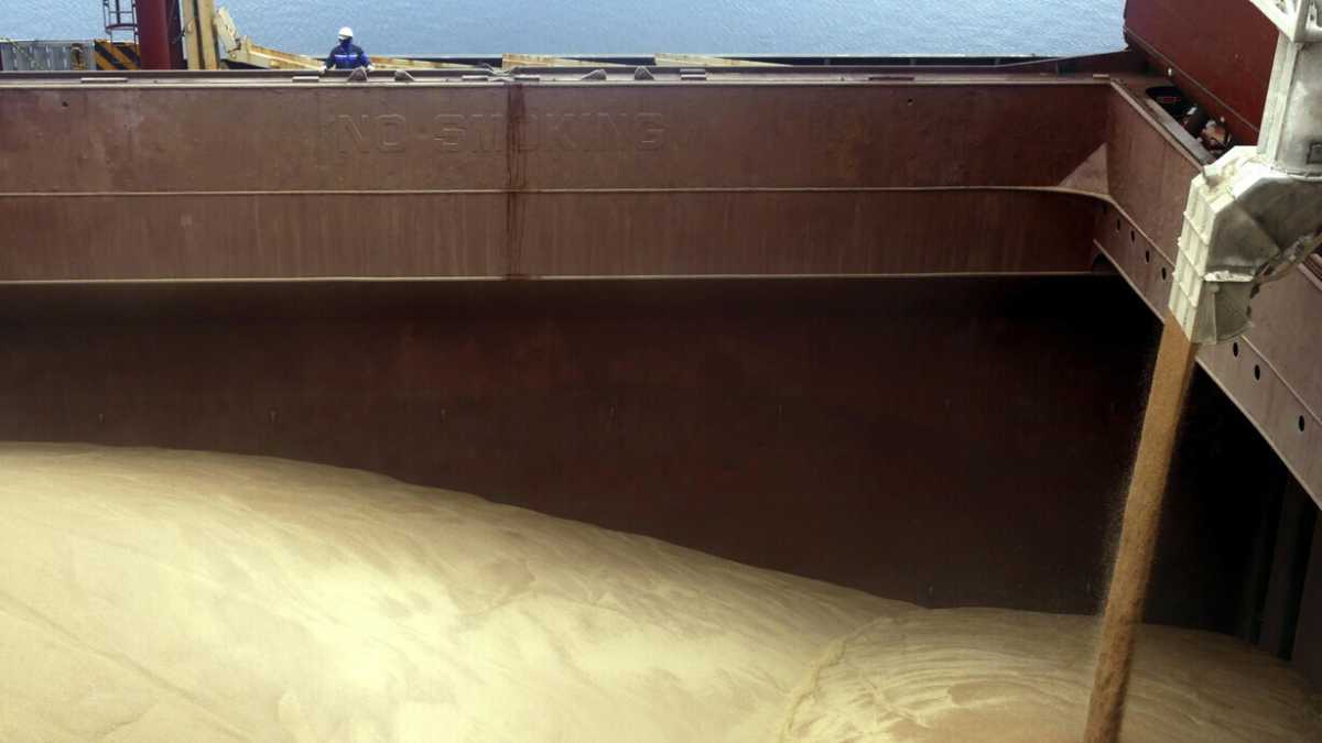 Immagine di “Zero dazi” sul grano ucraino