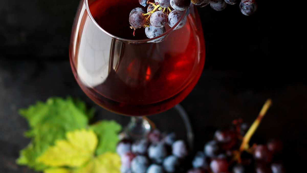 Immagine di Le verità di un "Manualetto del viticultore" dell'800, valide ancora oggi