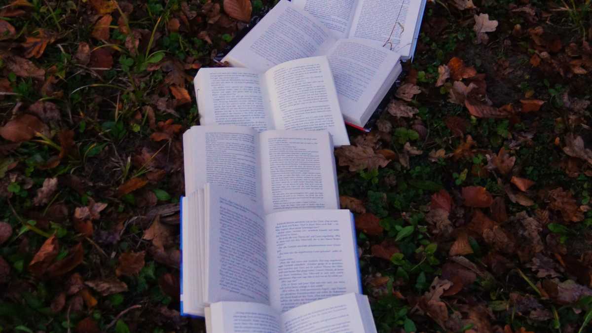 Immagine di Con i libri che parlano di libri, ti scopri ignorante e vuoi leggere di più