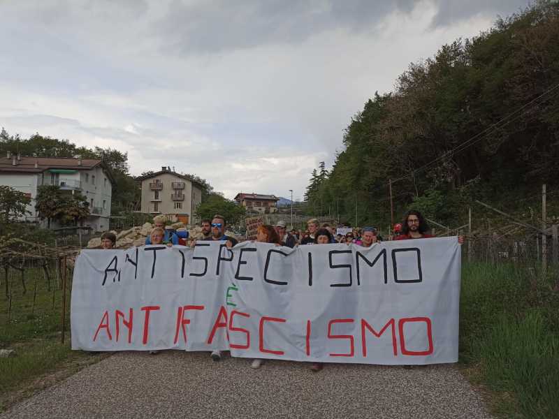 Foto Ansa