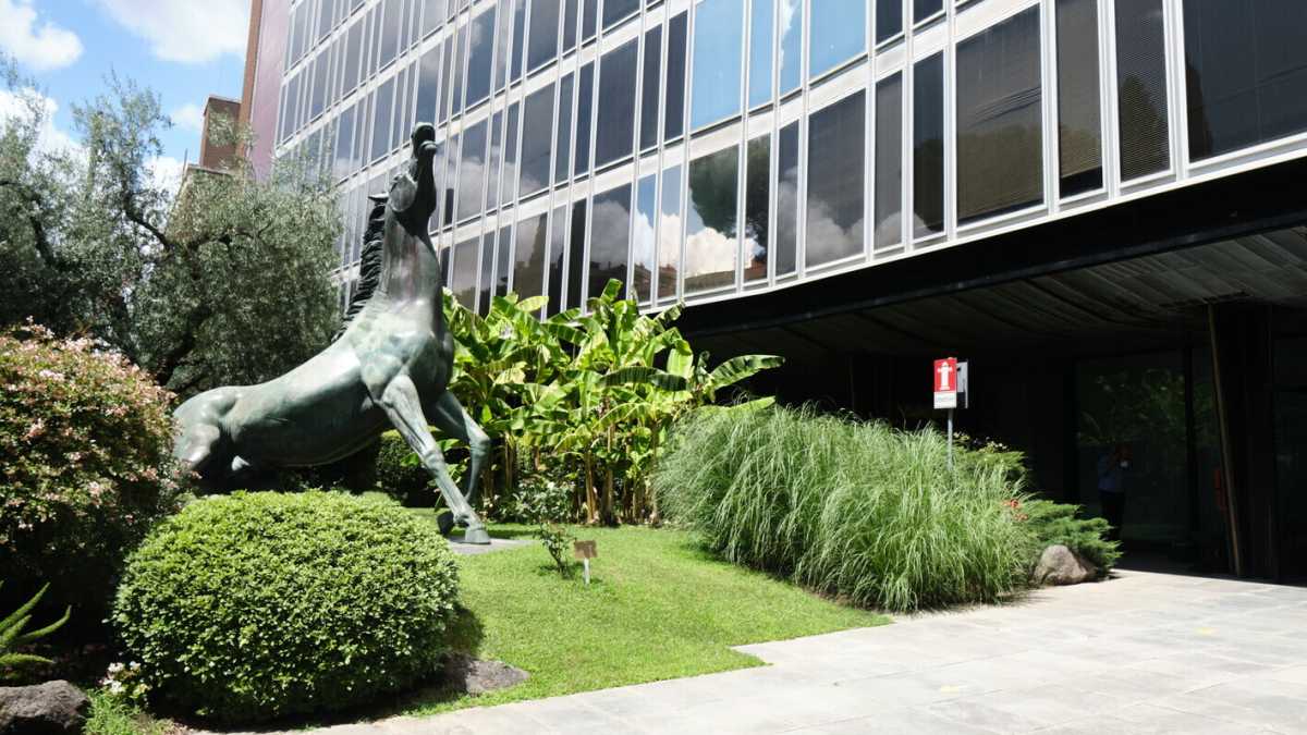 Immagine di Rai, città aperta. Viaggio a Viale Mazzini, tra sogni e rancori della destra