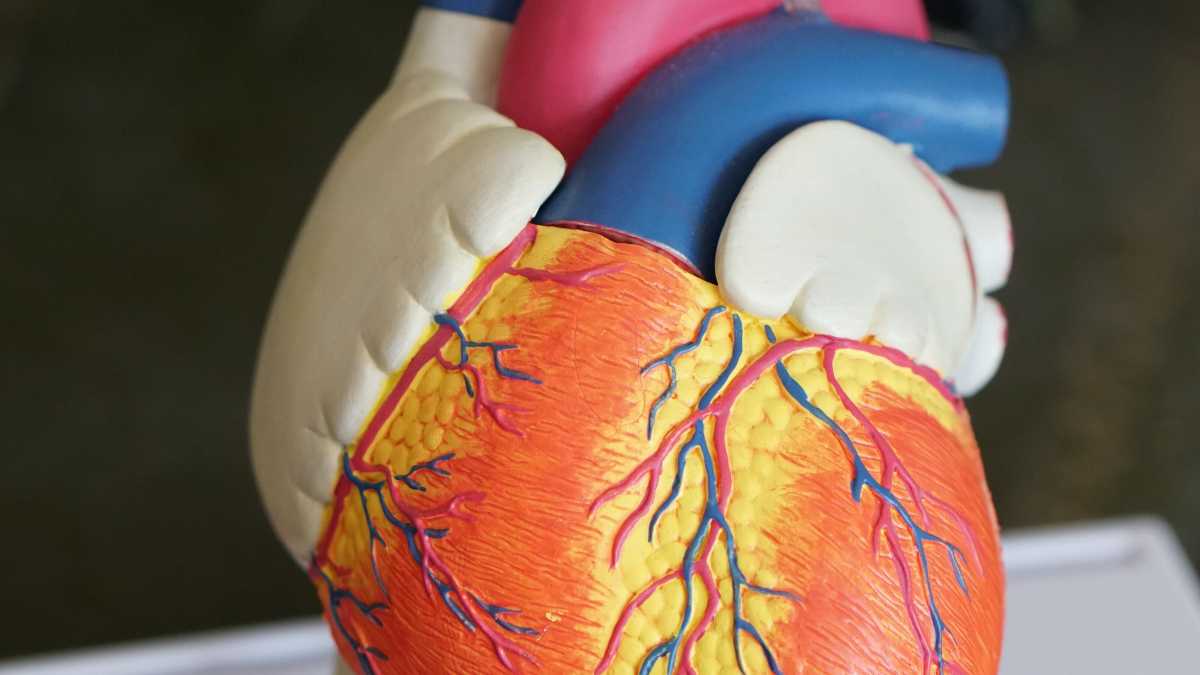 Immagine di Il sacrilegio di postare i risultati degli esami medici