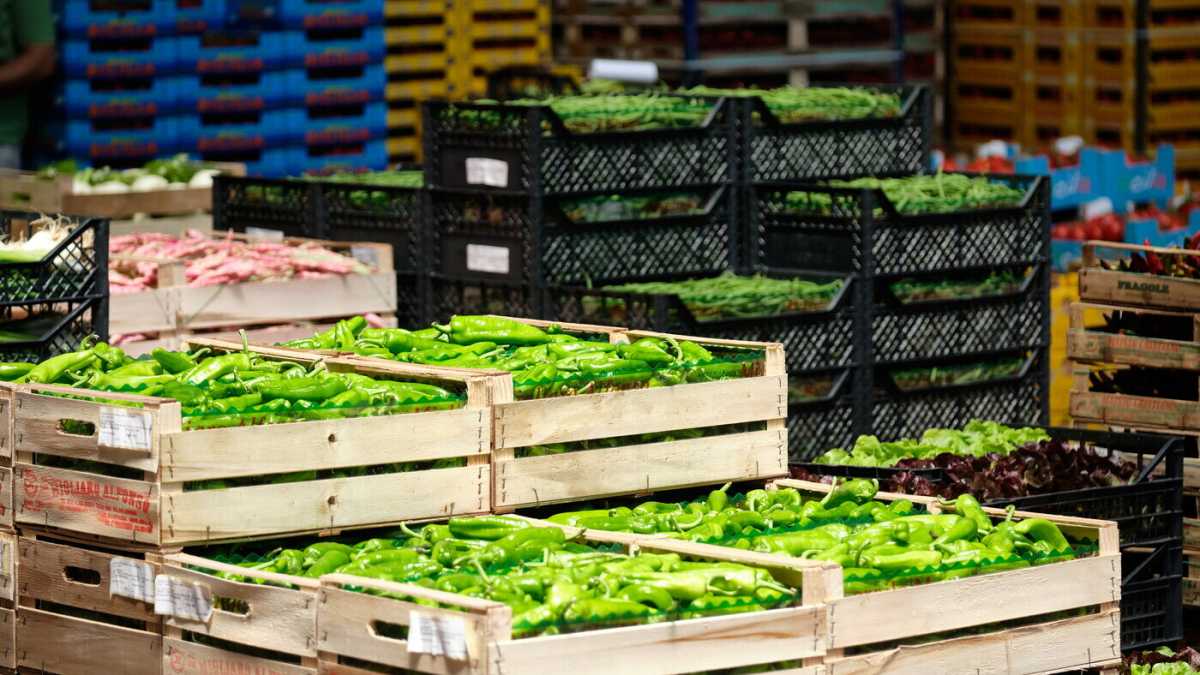 Immagine di Il Censis dà in numeri sull'industria alimentare