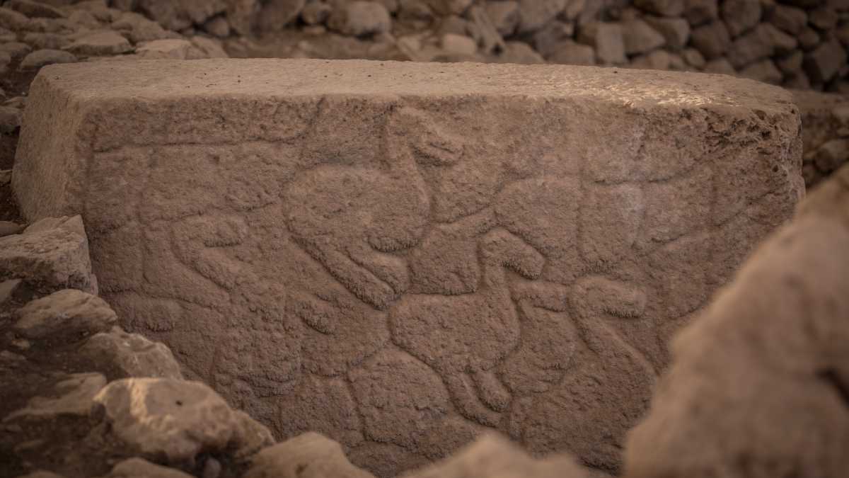 Immagine di La varietà di processi all’origine della vita