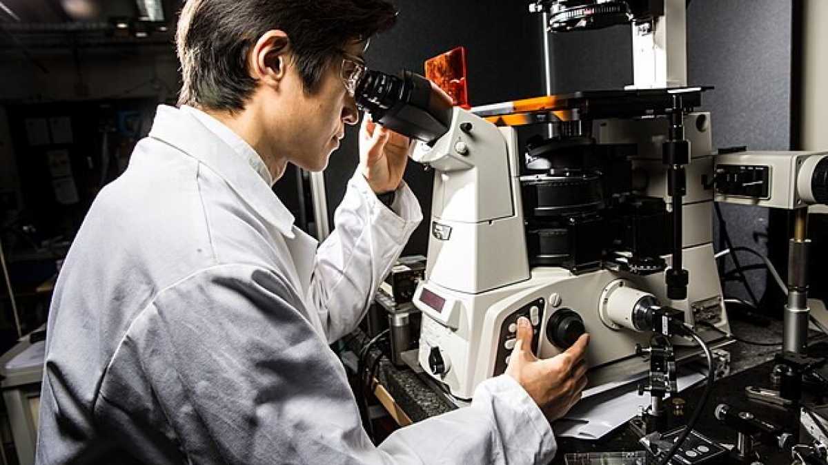 Immagine di Andiamo verso l'epoca dell'"infosfera genetica"