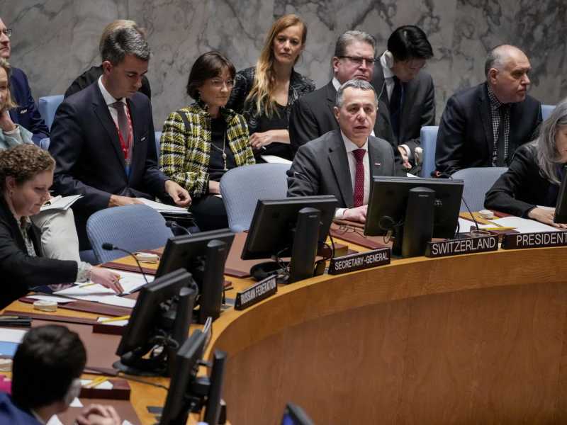 La seduta dell'Onu lo scorso 3 maggio (LaPresse)