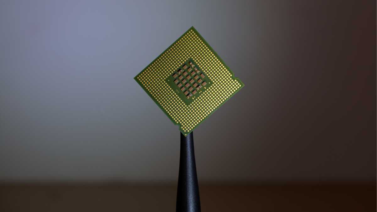 Immagine di Chip, proteine vegetali, cattura della CO2. Da dove passa la crescita del futuro? Uno studio