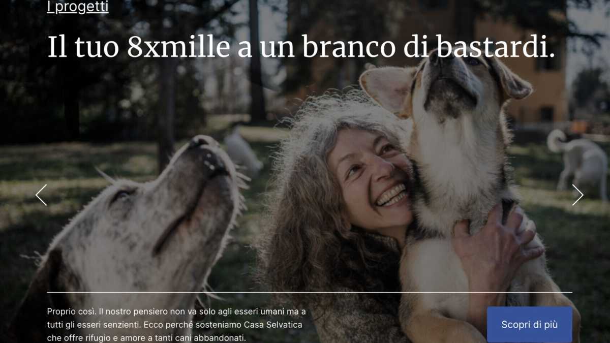 Immagine di "Dona l'8 per mille a un branco di bastardi": le strategie del marketing buddista