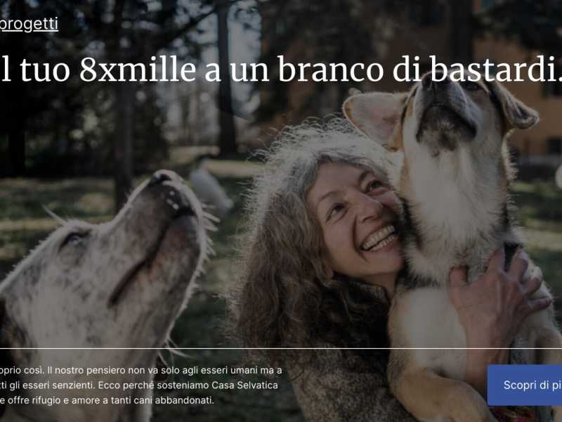 "Dona l'8 per mille a un branco di bastardi": le strategie del marketing buddista