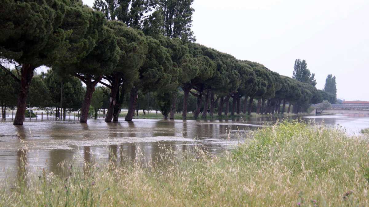 Immagine di Alluvione in Emilia-Romagna, inizia la conta dei danni. Domani il Cdm