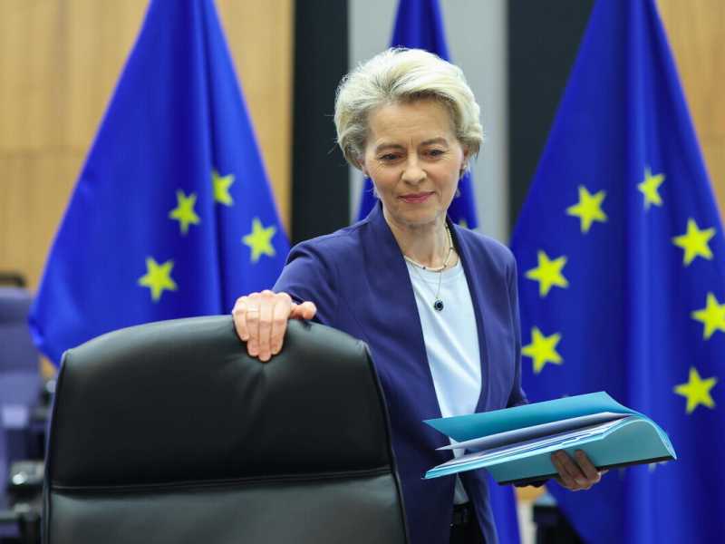Ursula von der Leyen (Ansa)