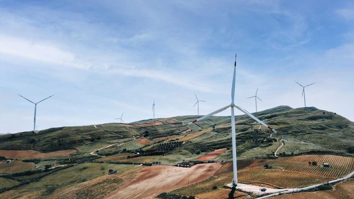 Immagine di Notizia per gli imbrattatori: l’Italia, sul green, è un modello in Europa