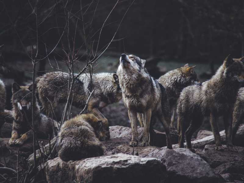 Foto di Thomas Bonometti su Unsplash<br /> <br />