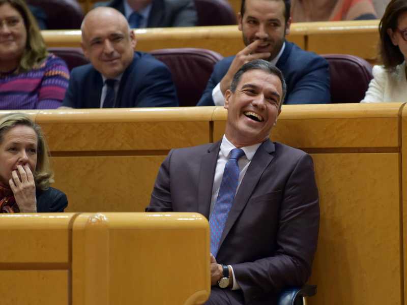 Pedro S&aacute;nchez al Senato spagnolo (LaPresse)