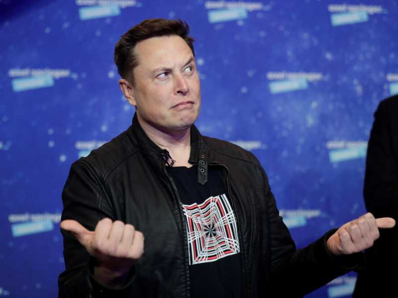 Elon Musk (Ansa)