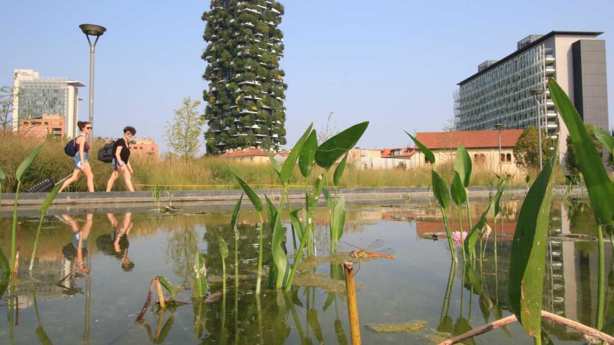 Immagine di Arte al rondò e occhi all’Olanda