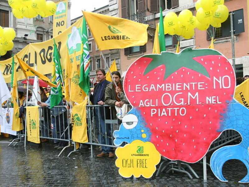 Foto LaPresseSit-in anti Ogm di Verdi, Legambiente e Coldiretti. Oggi Coldiretti è favorevole alle Tea, Verdi e Legambiente restano contrari (foto LaPresse)<br />