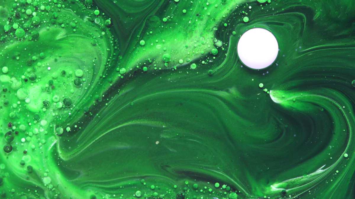 Immagine di Uno studio ci dà nuovi indizi sull'origine della vita