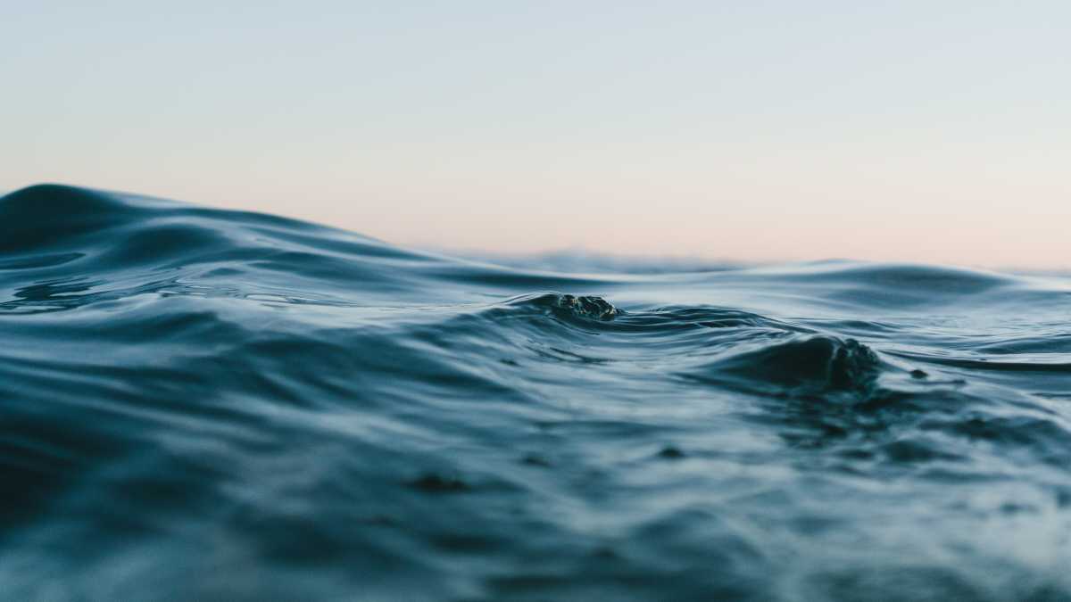 Immagine di I virus acquatici possono alterare il clima. Lo studio