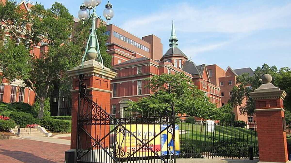 Immagine di L'inclusività partiarcale della Johns Hopkins: una lesbica è "un non maschio attratto da altri non maschi"