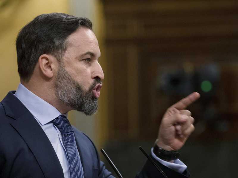 Santiago Abascal (LaPresse)